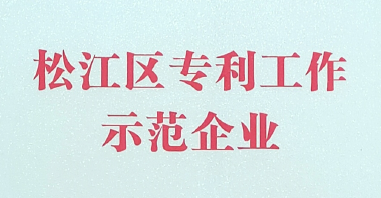 k8凯发获得【2020年松江区专利示范企业】